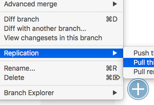 The replication menu in the Branch Explorer displaying the available options. Pushing a branch to a remote repository couldn't be simpler.