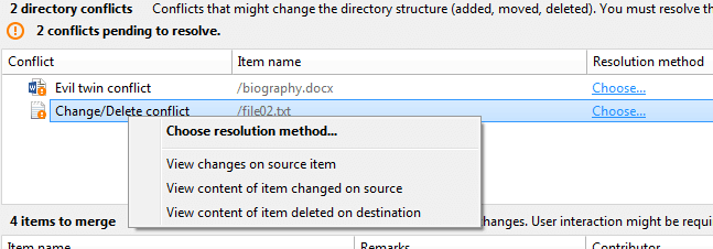 Context menu commands in the Directory conflicts table